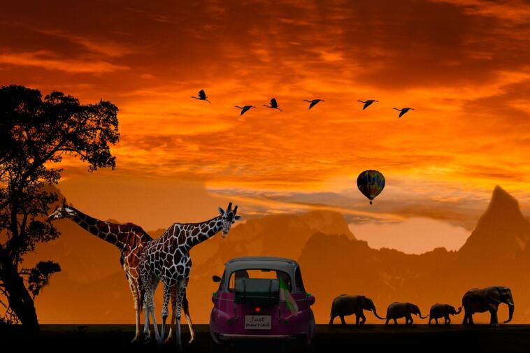 Un viaggio di nozze indimenticabile