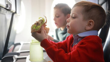 Portare cibo in aereo: una guida